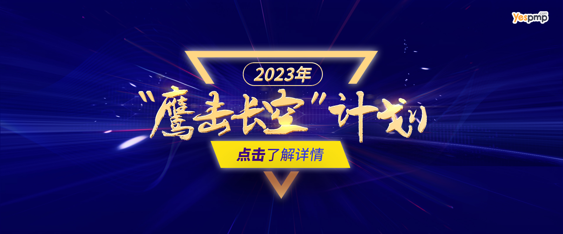 鹰击长空计划